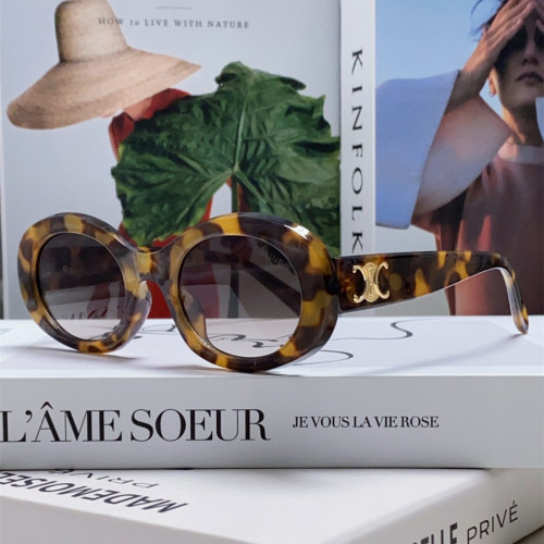Celine Sunglasses Luxury Brand Womens Sunglasses with Original Box  CL40194