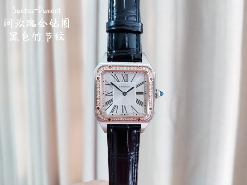 Cartier Watch091