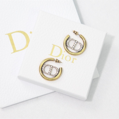 Dior Luxury Womens Earrings