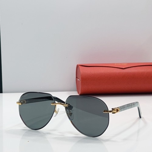 Cartier Sunglasses Luxury Brand Men Womens Sunglasses with Original Box  CT0440S