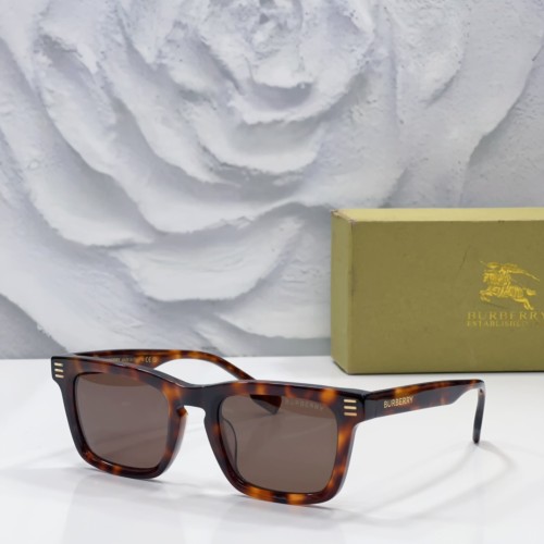 Burberry Sunglasses Luxury Brand Women Mens Sunglasses with Original Box  BE4403U