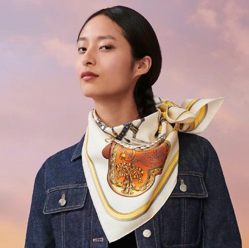 Hermes Scarves Womens Fashion Scarf Shawl 268