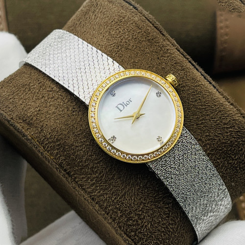Dior Watch006