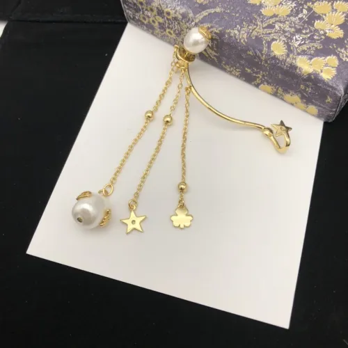 Dior Luxury Womens Earrings