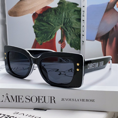 Dior Sunglasses Luxury Brand Womens Sunglasses with Original Box  DIORPACIFIC S1U
