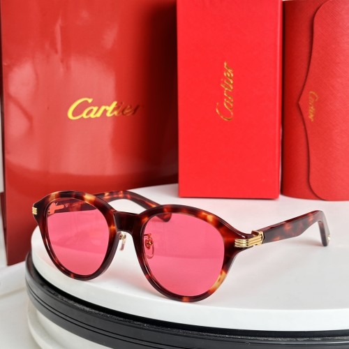 Cartier Sunglasses Luxury Brand Men Womens Sunglasses with Original Box  CT 0395S
