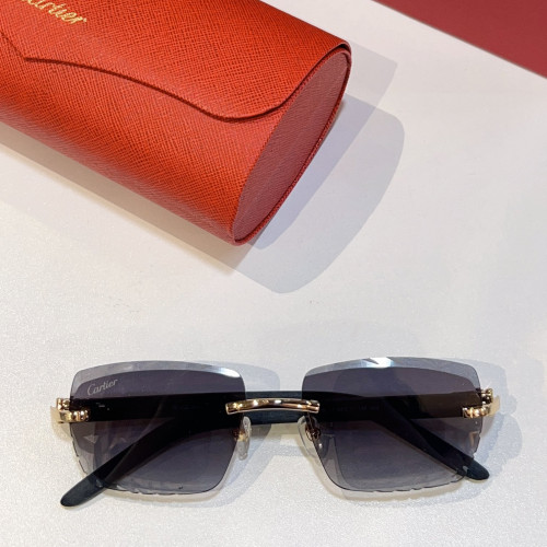 Cartier Sunglasses Luxury Brand Men Womens Sunglasses with Original Box  CT0013