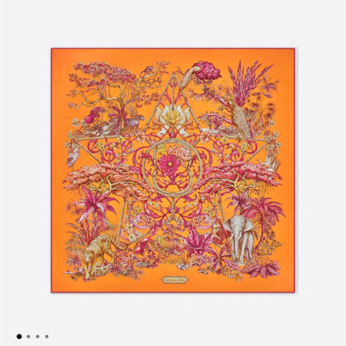 Dior Scarves Womens Fashion Scarf with277