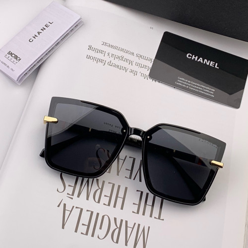 Celine Sunglasses Luxury Brand Womens Sunglasses with Original Box  CH505