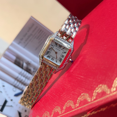 Cartier Watch050