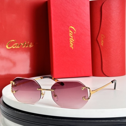 Cartier Sunglasses Luxury Brand Mens Sunglasses with Original Box  CT0091