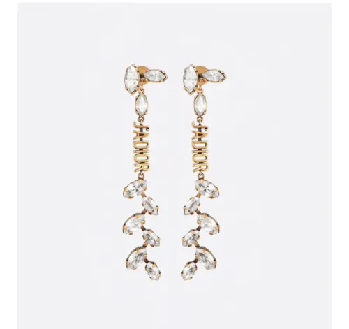 Dior Luxury Womens Earrings