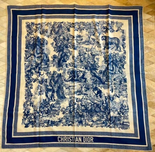 Dior Scarves Womens Fashion Scarf with316
