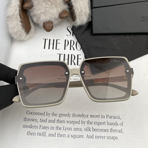 Dior Sunglasses Luxury Brand Womens Sunglasses with Original Box  CD3711