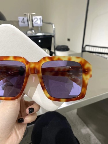 Celine Sunglasses Luxury Brand Womens Sunglasses with Original Box  CL4S490