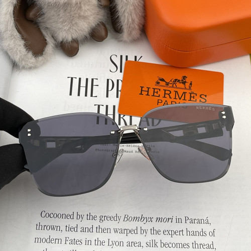 Hermes Sunglasses Luxury Brand Womens Sunglasses with Original Box  H1100