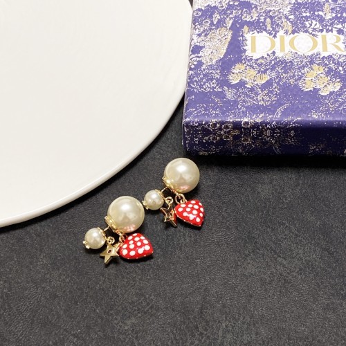 Dior Luxury Womens Earrings