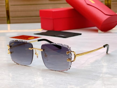Cartier Sunglasses Luxury Brand Men Womens Sunglasses with Original Box  CT0092O