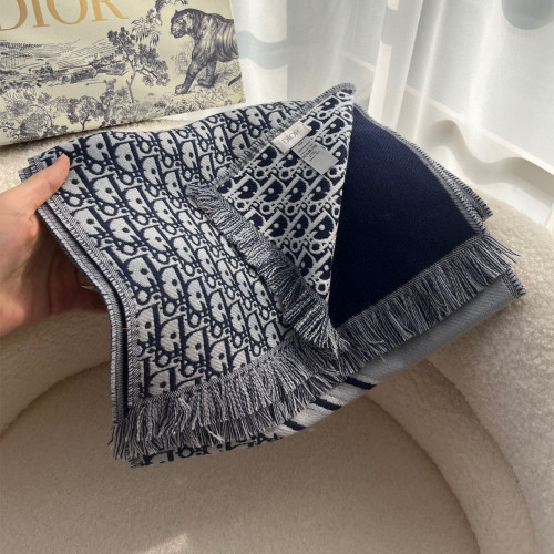 Dior Scarves Womens Fashion Scarf with237