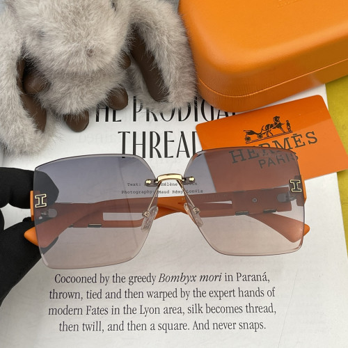 Hermes Sunglasses Luxury Brand Womens Sunglasses with Original Box  H7970