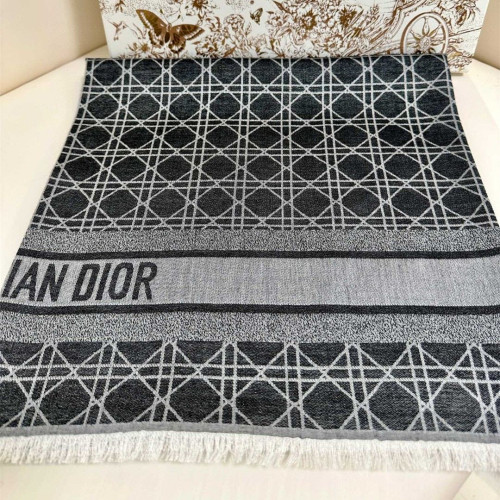 Dior Scarves Womens Fashion Scarf with221