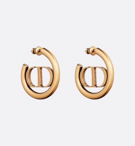 Dior Luxury Womens Earrings