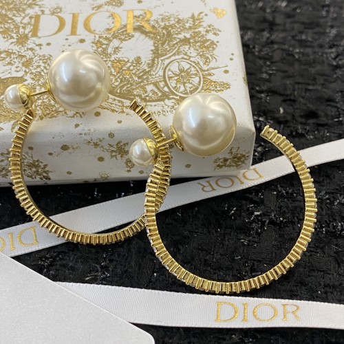 Dior Luxury Womens Earrings