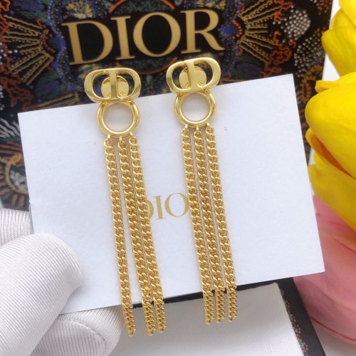 Dior Luxury Womens Earrings