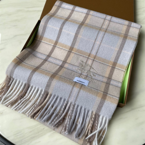 Burberry Scarves Womens Fashion Scarf241