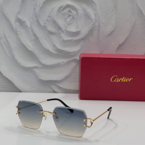 Cartier Sunglasses Luxury Brand Men Womens Sunglasses with Original Box  CT00686