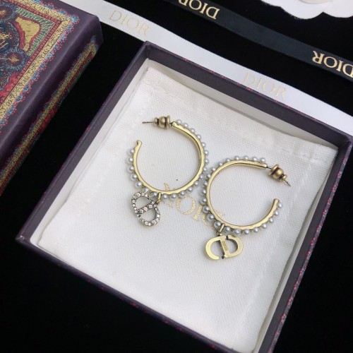 Dior Luxury Womens Earrings