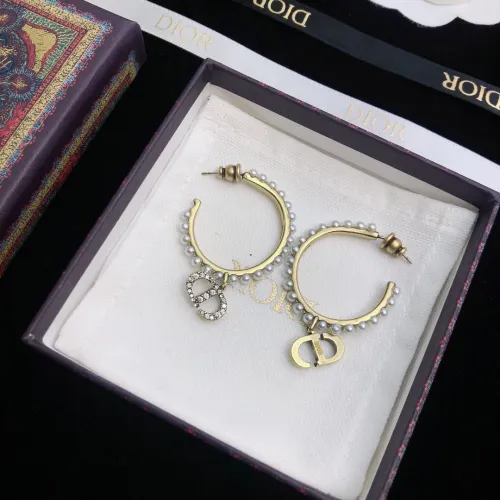 Dior Luxury Womens Earrings