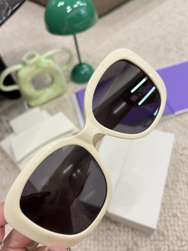Celine Sunglasses Luxury Brand Womens Sunglasses with Original Box  CL40500