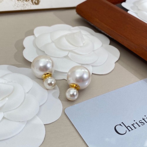 Dior Luxury Womens Earrings