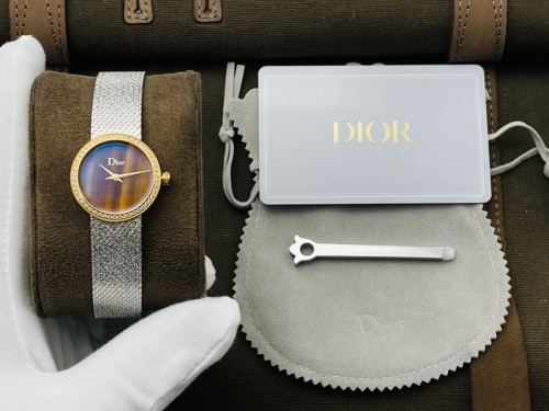 Dior Watch004