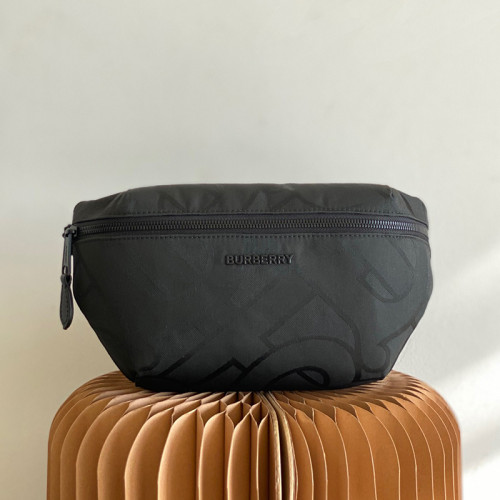 Burberry Womens Mens Bags Bumbag Belt Bags Luxury Brand Design Fashion Type with Original Box  