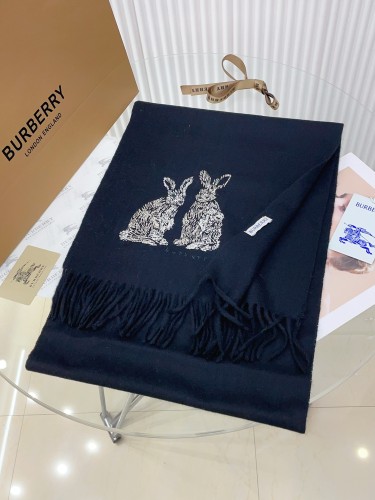 Burberry Scarves Womens Fashion Scarf002