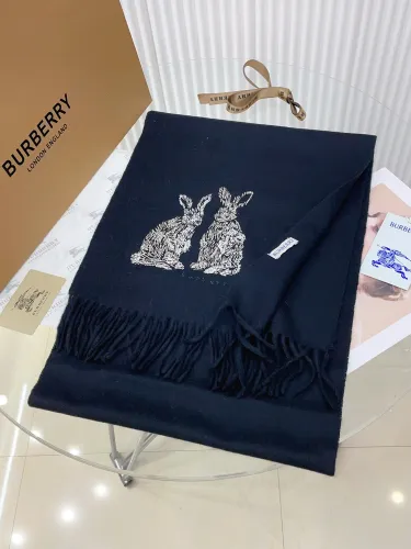 Burberry Scarves Womens Fashion Scarf002