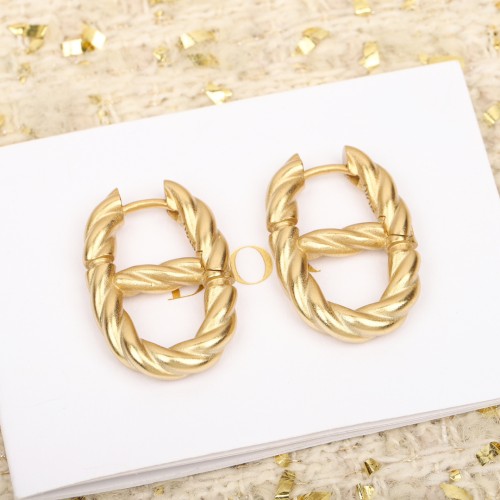 Dior Luxury Womens Earrings