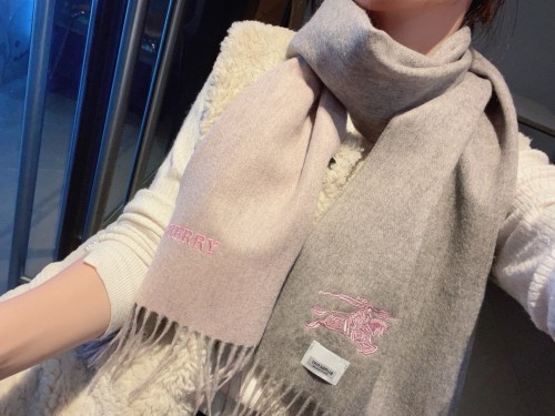 Burberry Scarves Womens Fashion Scarf084