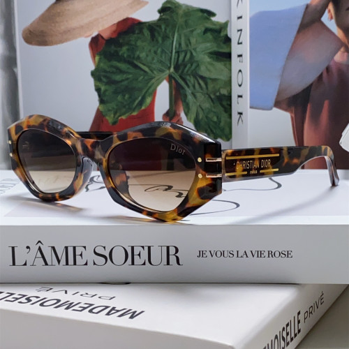 Dior Sunglasses Luxury Brand Men Womens Sunglasses DiorSignature B1U with Original Box  