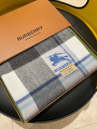 Burberry Scarves Womens Fashion Scarf277