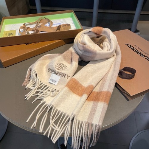 Burberry Scarves Womens Fashion Scarf067