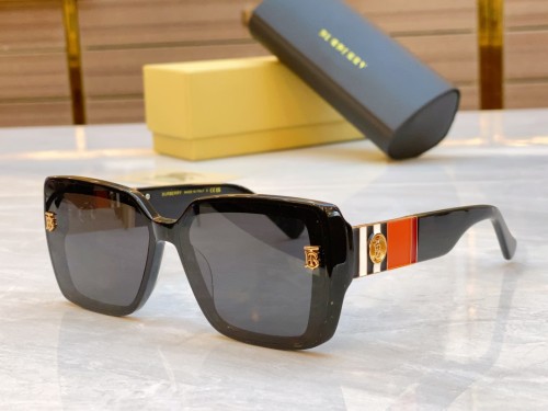 Burberry Sunglasses Luxury Brand Women Mens Sunglasses with Original Box  BE6009