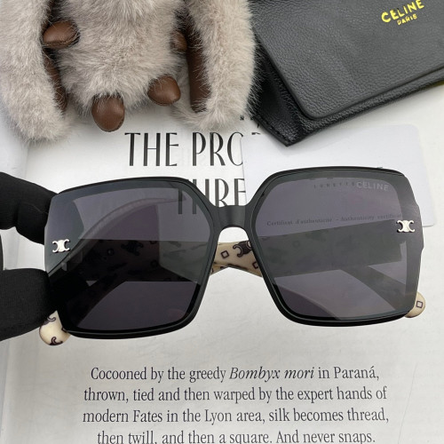 Celine Sunglasses Luxury Brand Womens Sunglasses with Original Box  SL9301