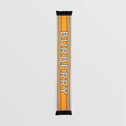 Burberry Scarves Womens Fashion Scarf281
