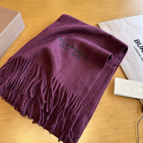 Burberry Scarves Womens Fashion Scarf051