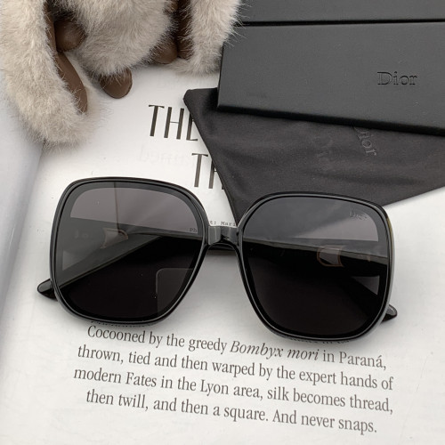 Dior Sunglasses Luxury Brand Womens Sunglasses with Original Box  CD3313