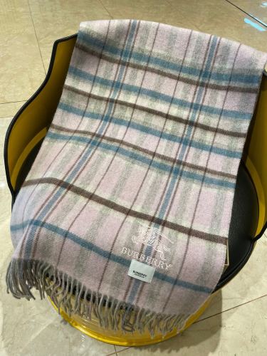 Burberry Scarves Womens Fashion Scarf091
