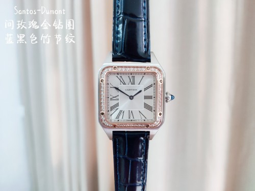 Cartier Watch091